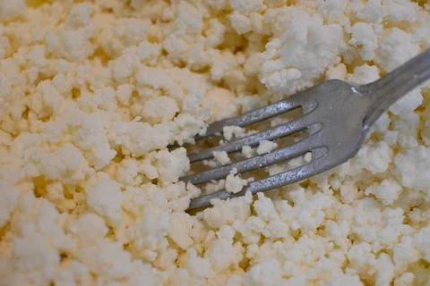 Curd cheese with fork Stock-Fotos
