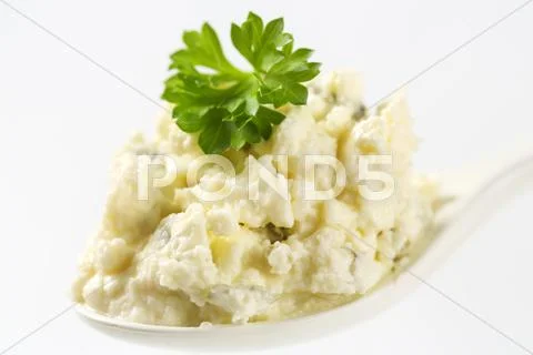 Curd cheese spread Stock Photos