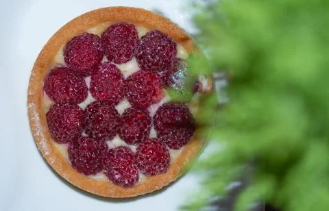 Curd dessert decorated with raspberry Stock Photos