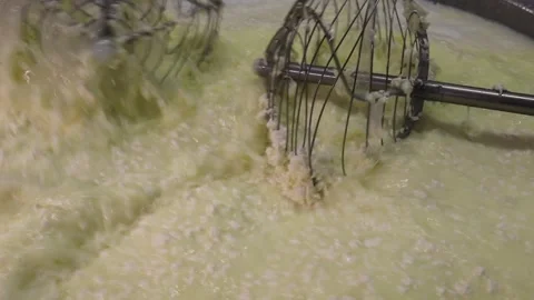 Curd in mozzarella farm Stock Footage 306290377