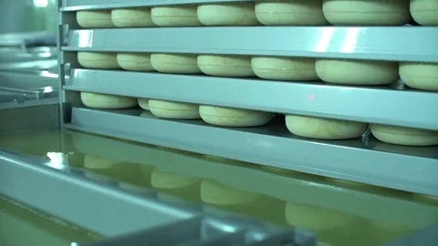 Curd Ready To Dairies For Cheese Production Video stock 69102323