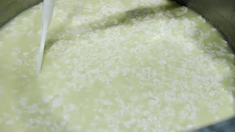 Curd Stirring Process in Dairy Production Close Up Stock Footage 321540838