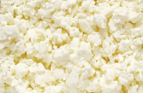 Curd, texture of dairy product. Stock Photos