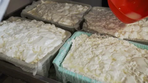 Curds of fermented milk cheese in containers for whey separation Stock Footage 332349549