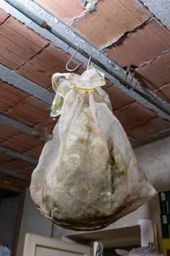 Cured ham hanging in the cellar Stock Photos