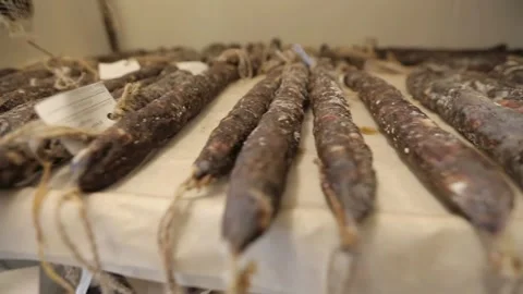 Cured sausage with mold Stock Footage 146649147