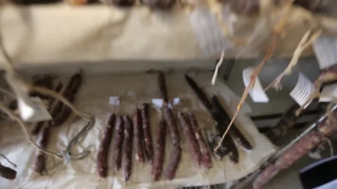Cured sausage with mold Stock Footage 146649254