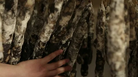 Cured sausage with mold Stock Footage 146649969