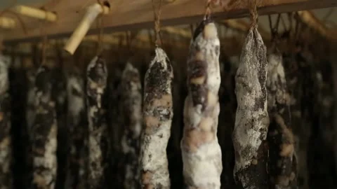 Cured sausage with mold Stock Footage 146650073