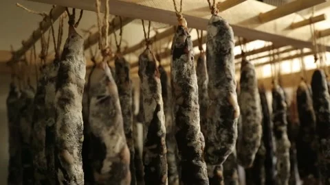 Cured sausage with mold Stock Footage 146650332