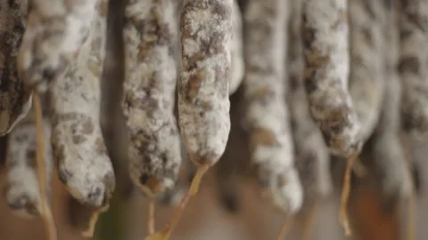 Cured sausage with mold Stock Footage 146679187