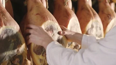 Curing Ham with Hands Inspecting, and Factory. Stock Footage 305807526