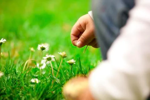 Curiosity Stock Photos