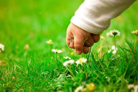 Curiosity Stock Photos