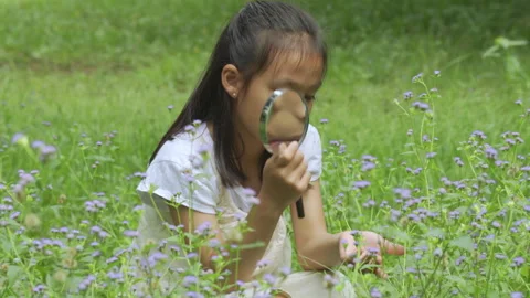Curious Asian girl using magnifying glass to inspect small wild flowers Stock-Footage 340186426