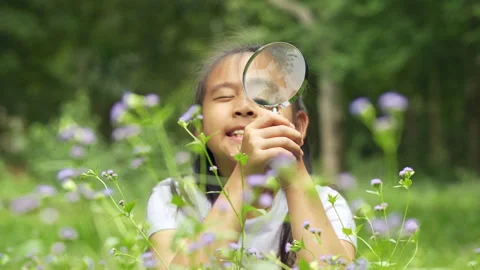 Curious Asian girl using magnifying glass to inspect small wild flowers Stockbeeldmateriaal 340186723