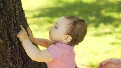 Curious baby boy touching the bark of a large tree trunk at the park. Vídeos de archivo 335814611