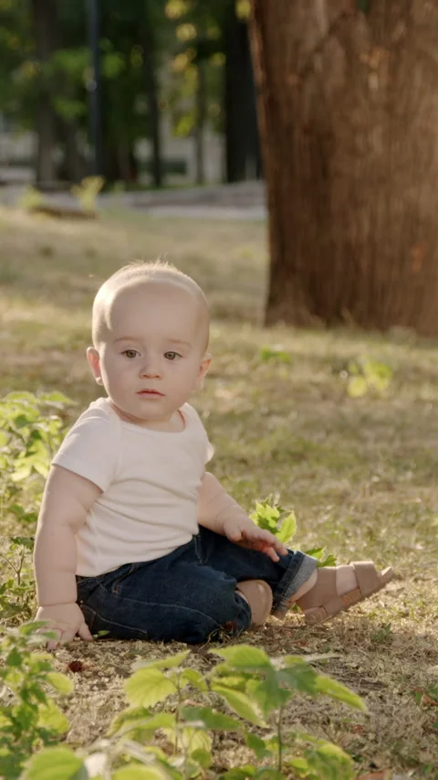 Curious baby exploring nature, touching grass and leaves, discovering textures Stock Footage 317327153