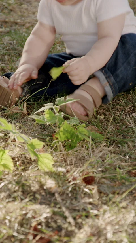 Curious baby exploring nature, touching grass and leaves, discovering textures Video stock 317327559