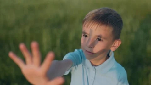 Curious boy reaching forward in a sunlit field on a warm summer day Stock Footage 311575034