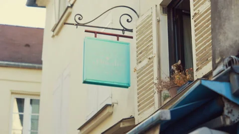 Curious cat looking out of the window at home, Paris Video stock 231494729