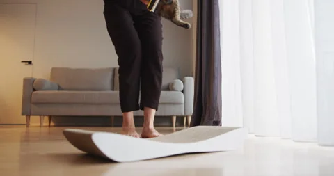 Curious Cat Playing on Scratching Pad in Modern Living Room. Stock Footage 275376628