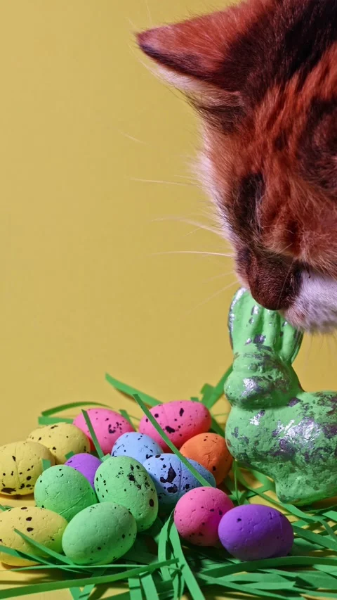 Curious cat sniffing green Easter bunny and colorful eggs on yellow background Stock Footage 331886466