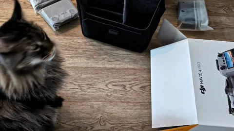 Curious cat watching DJI Mavic Pro 4 drone unboxing, timelapse clip Stock Footage 311366350
