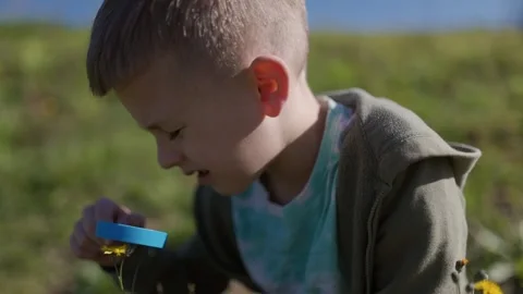 Curious child exploring nature with magnifying glass Stock Footage 315269563