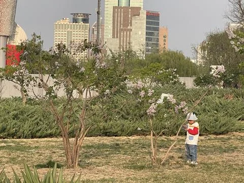 Curious Child Exploring Spring Blossoms in the Park Stock Photos
