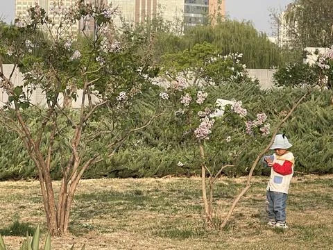Curious Child Exploring Spring Blossoms in the Park Stock Photos
