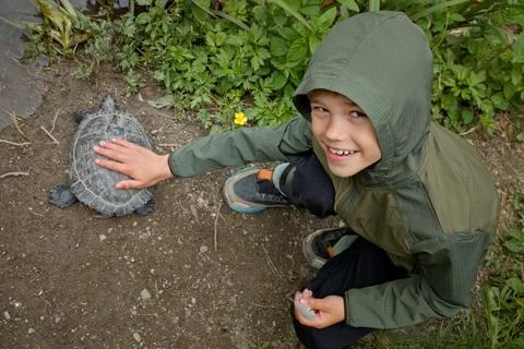 Curious Child Interacting with Turtle Outdoors Stock Photos