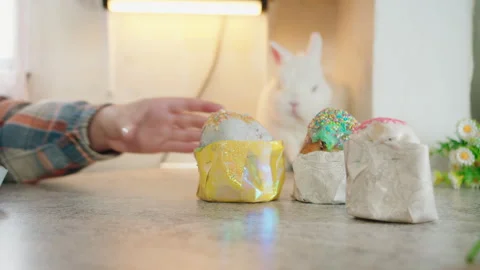 Curious cozy white rabbit eats food and looks at easter cupcakes on table Stock Footage 330501004