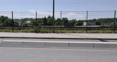 A curious dog observing the camera. Stock Footage 268413458