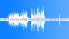 Curious frogs croakingSound Effect