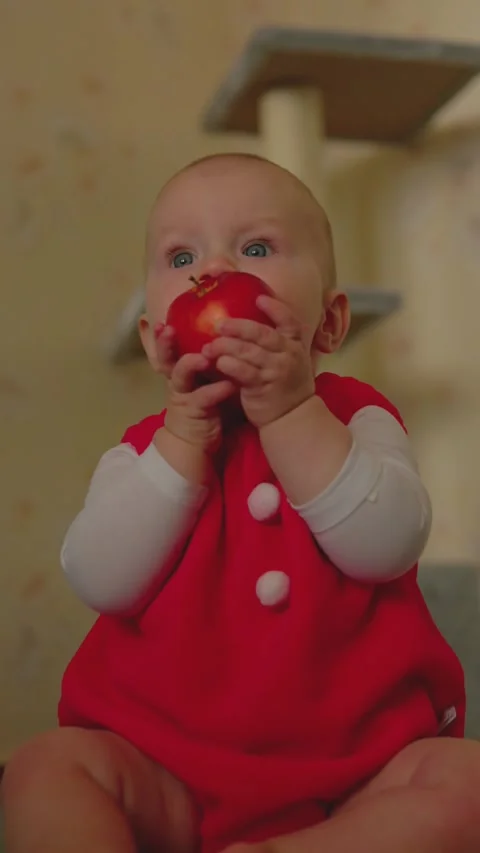 Curious infant explores a red apple while seated indoors in a bright red outfit Stock Footage 347686678