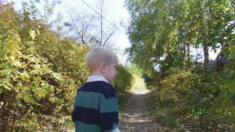 Curious little boy having walk in the park Stock Footage 266795071