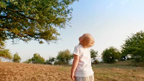 Curious little boy looking up raising his head and contemplating of high tree at Stock Footage 98886457