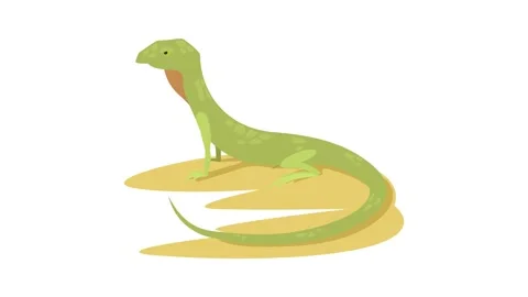 Curious lizard icon animation Stock Footage 168928118