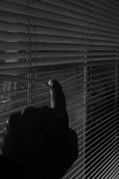 Curious look Stock Photos