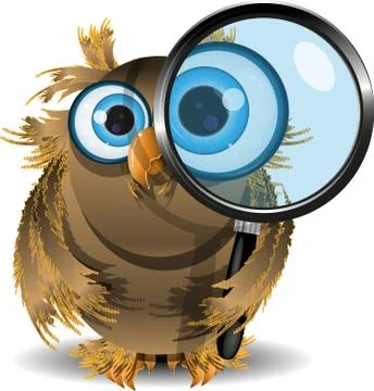 Curious owl Stock Illustration