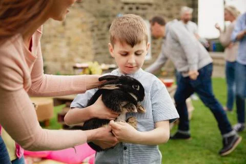 Curious of the Rabbit Stockfoto's