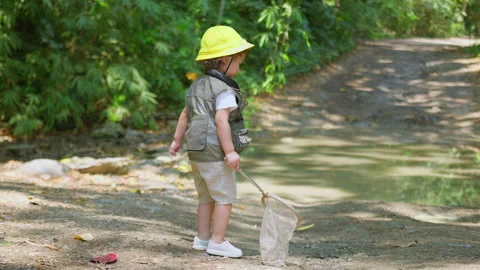 Curious toddler explorer with a butterfly net walks along a forest trail Stock Footage 333270925