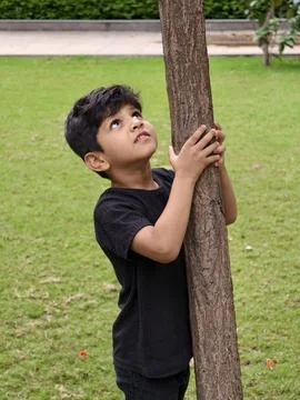 A curious young boy holding a tree and looking upward, symbolizing environmental Stock Photos