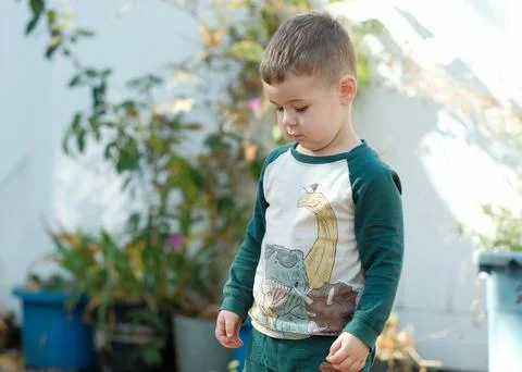 Curious young boy playing with fallen leaves in the backyard on a warm autumn Stock Photos