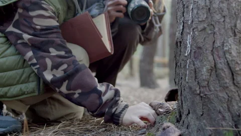 Curious young explorer picking mushroom Stock Footage 179360490