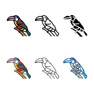 Curl crested types aracari bird exotic color icon vector Stockillustratie