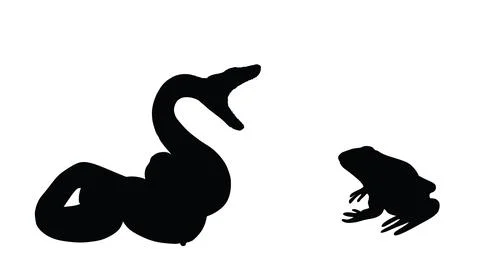 Curl open jaws snake attack frog prey vector silhouette illustration Illustrazione stock