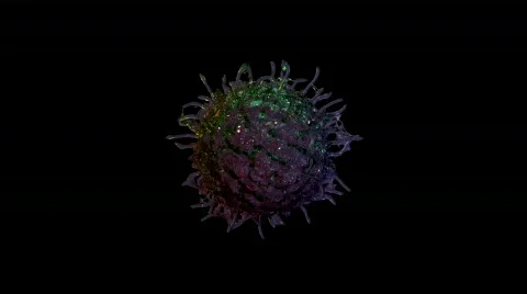 Curl Surface Stock Footage 555521