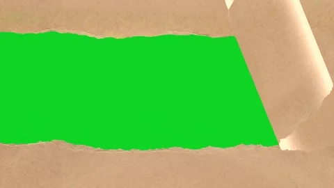 Curled brown craft paper vertical opening revealing animated on green screen Stock Footage 335214333